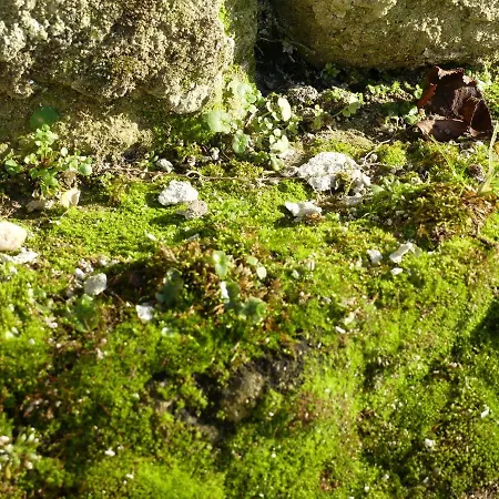 Demeure De Mauge