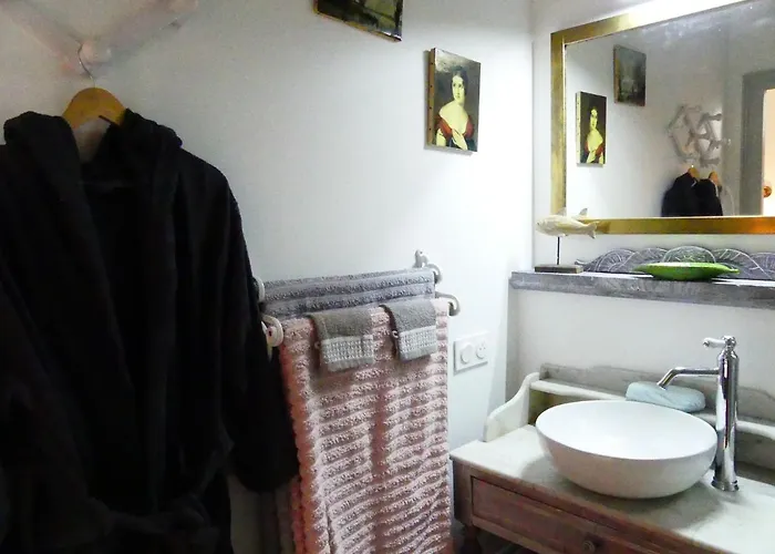 Demeure De Mauge Casa de hóspedes 4*