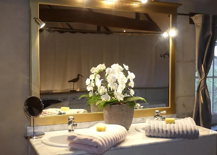 Demeure De Mauge Casa de hóspedes